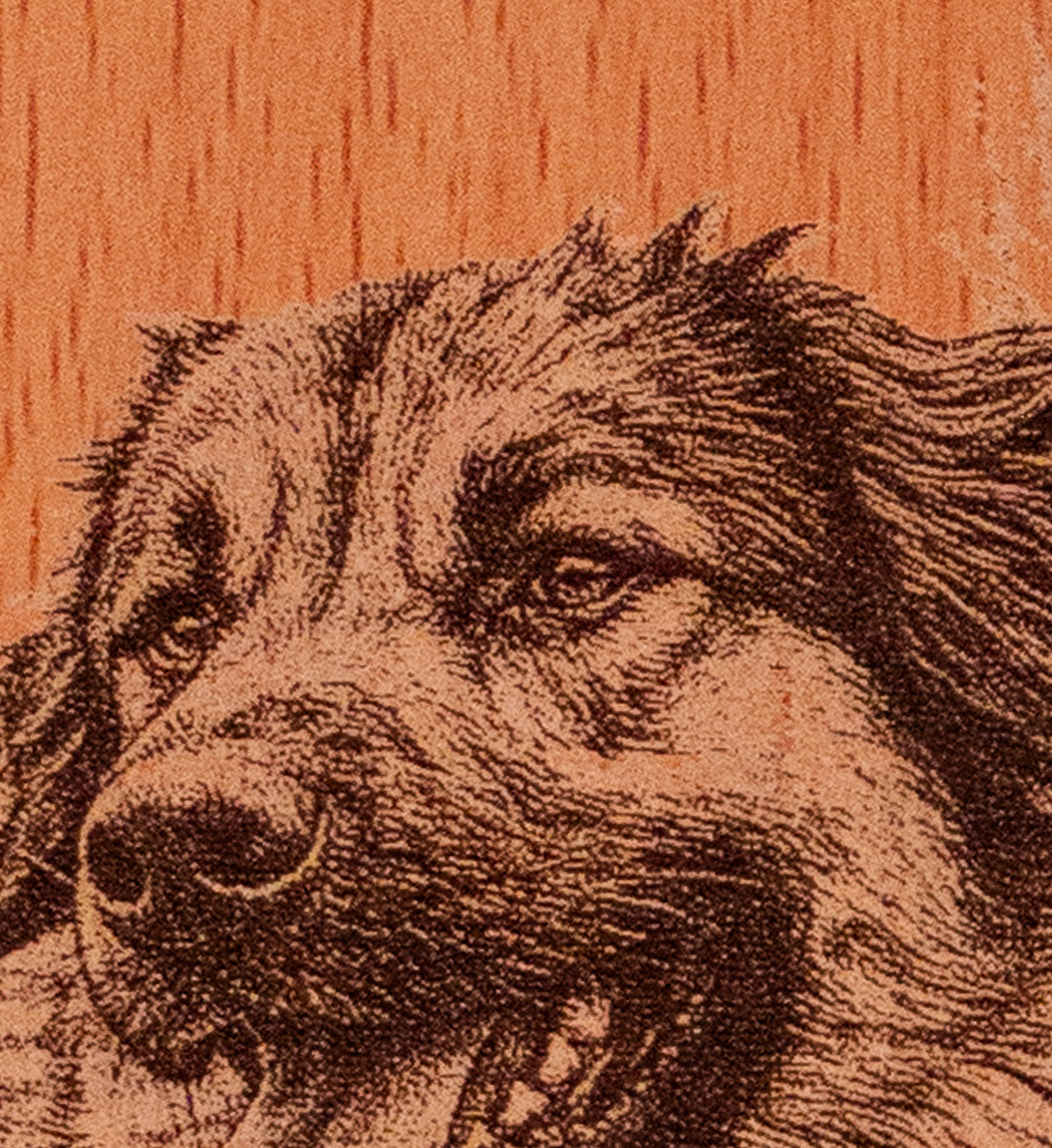 Portrait animal personnalisé gravé sur bois