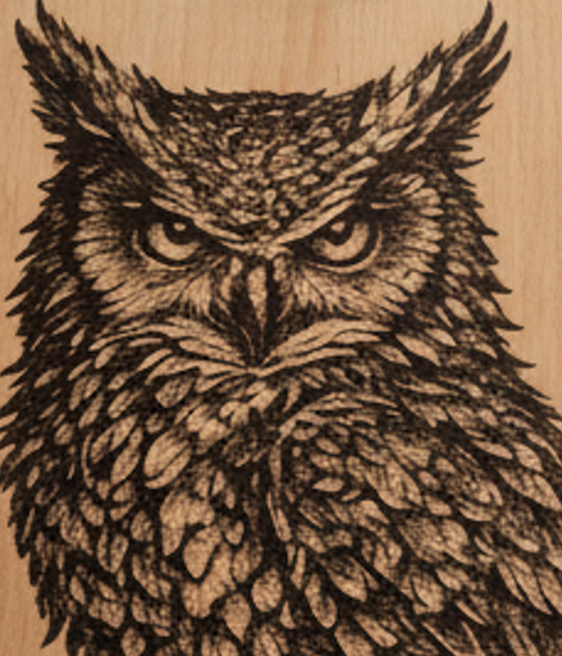 Tableau chouette réaliste gravé sur bois – 30 x 30 cm